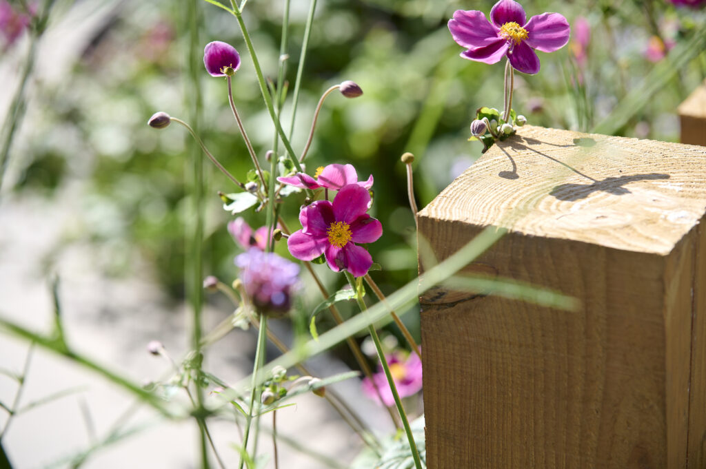 Ecologische tuinaanleg | Bovendorp & Sellis
